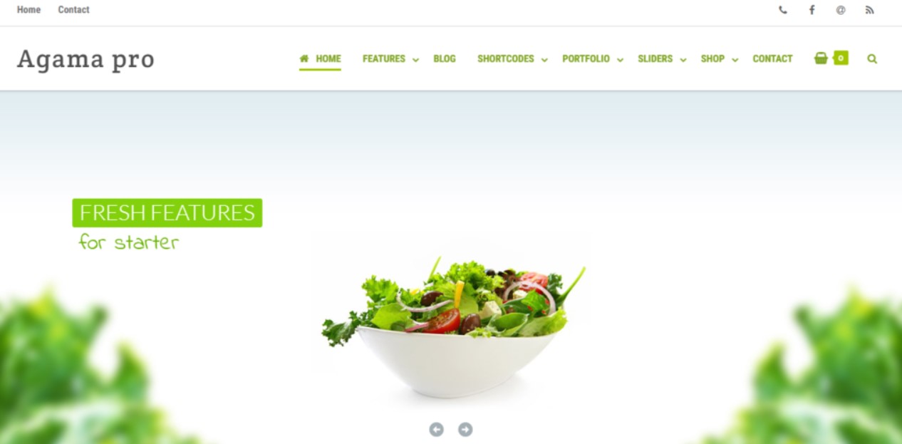 WordPress-theme-agama