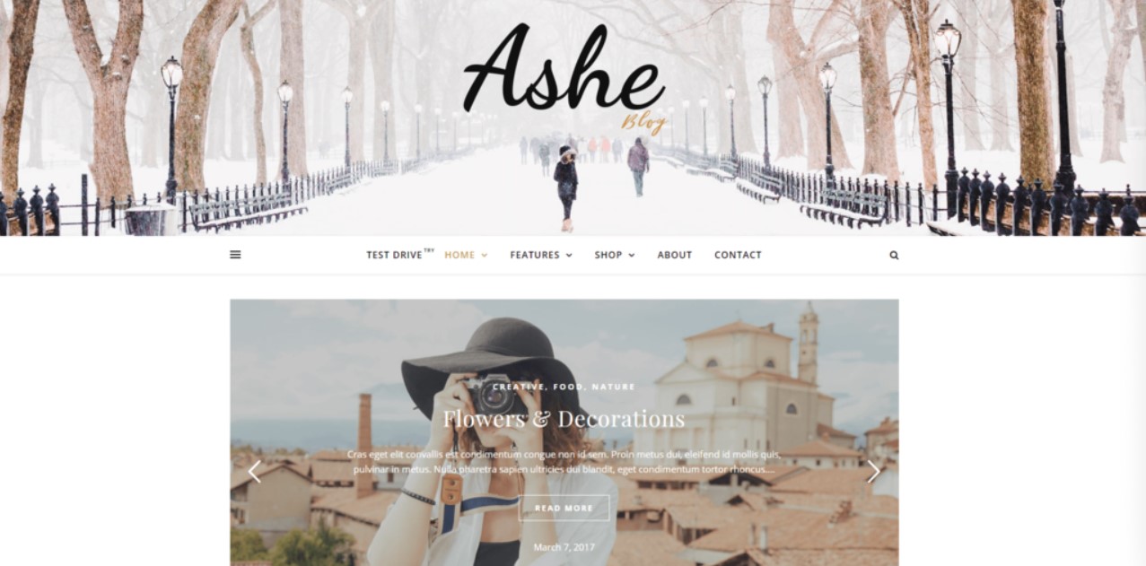 WordPress-theme-ashe
