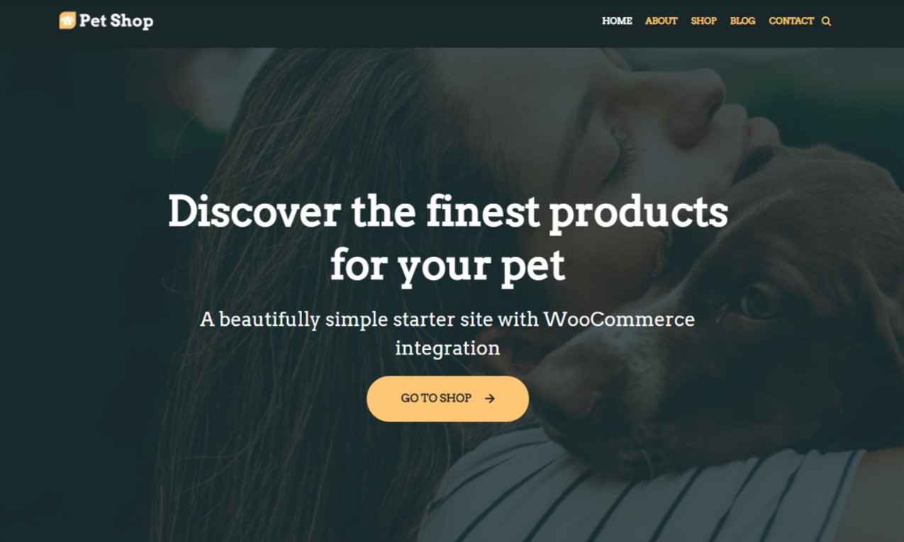 WordPress-theme-Neve