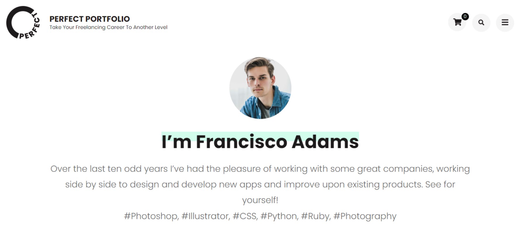 WordPress-theme-perfecto-portfolio